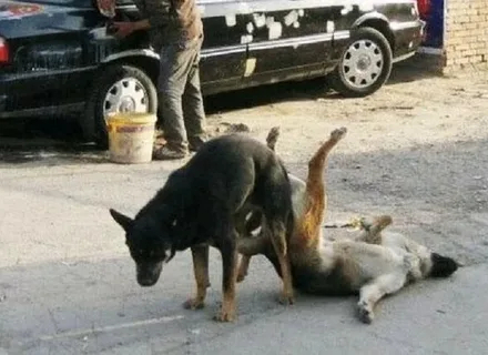      , , , , ,   