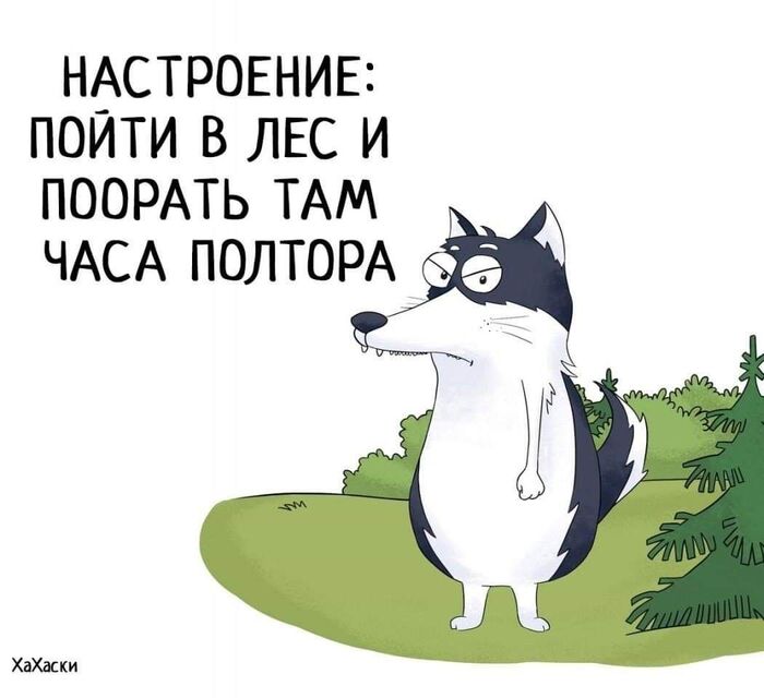 Я знаю что понедельник день тяжелый, но сегодня это чувствуется особенно...