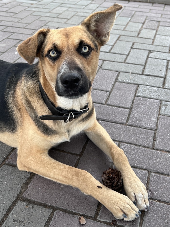 ���-��� ���������