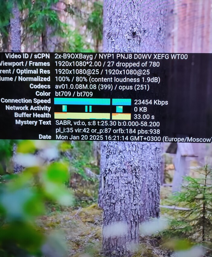 ���� ����?