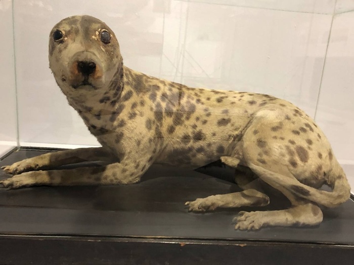 ������ ���������, ������� ���� ��� ������ �� ������� ������ �����, ����� ������ ����� �������� �������, ������� �� ����� ��������� ������