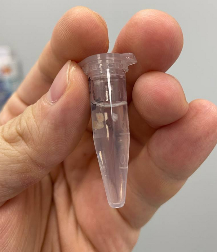 Вот такие маленькие кусочки.