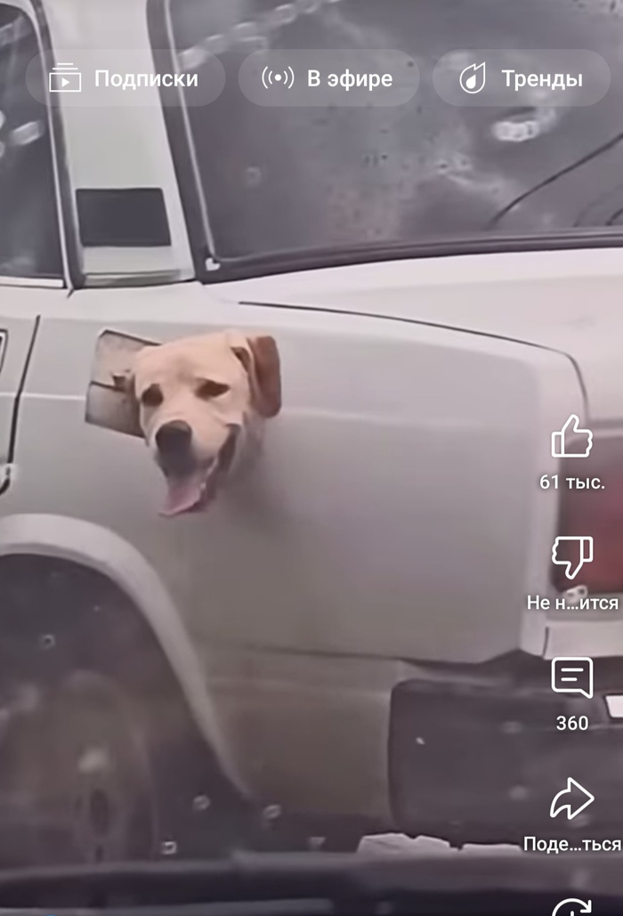    ? , , 