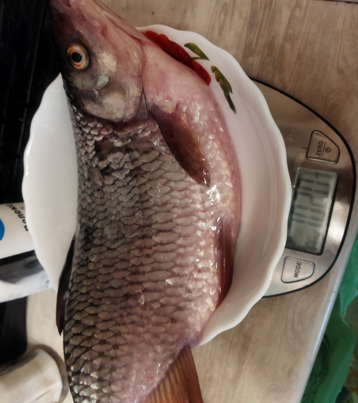 ����� ������� 1020 �