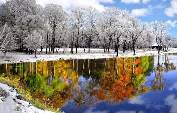 Зимой и летом – разным цветом! :)