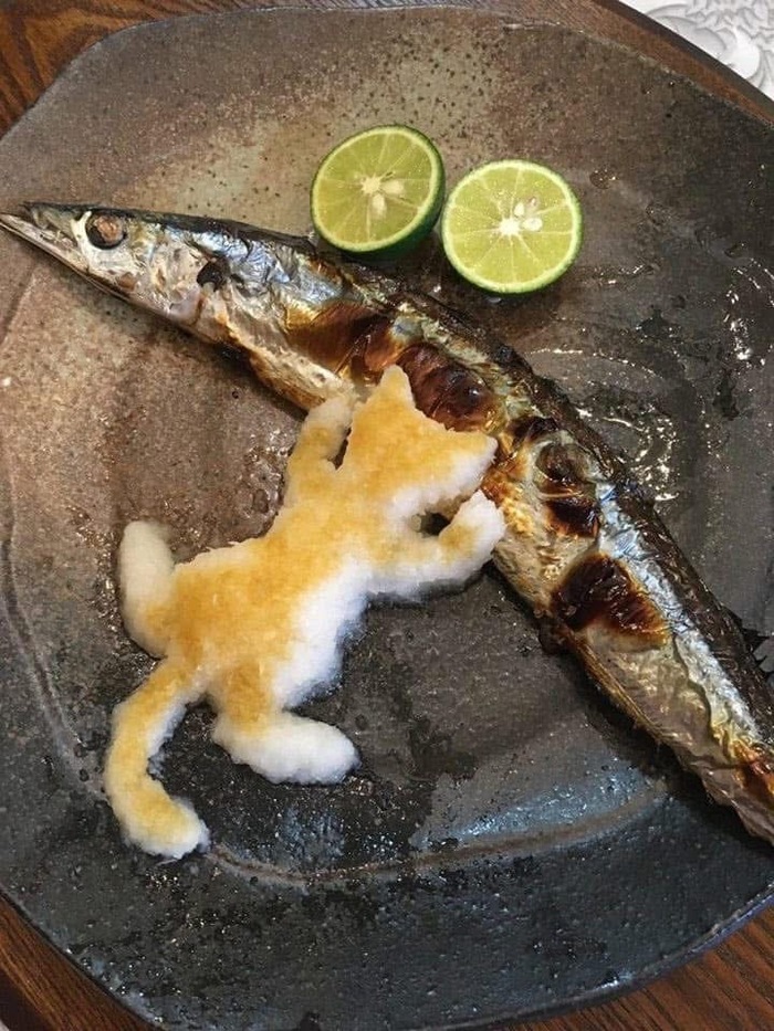   , 