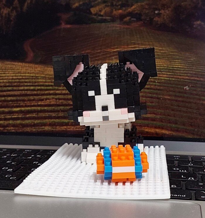 ��������� �����