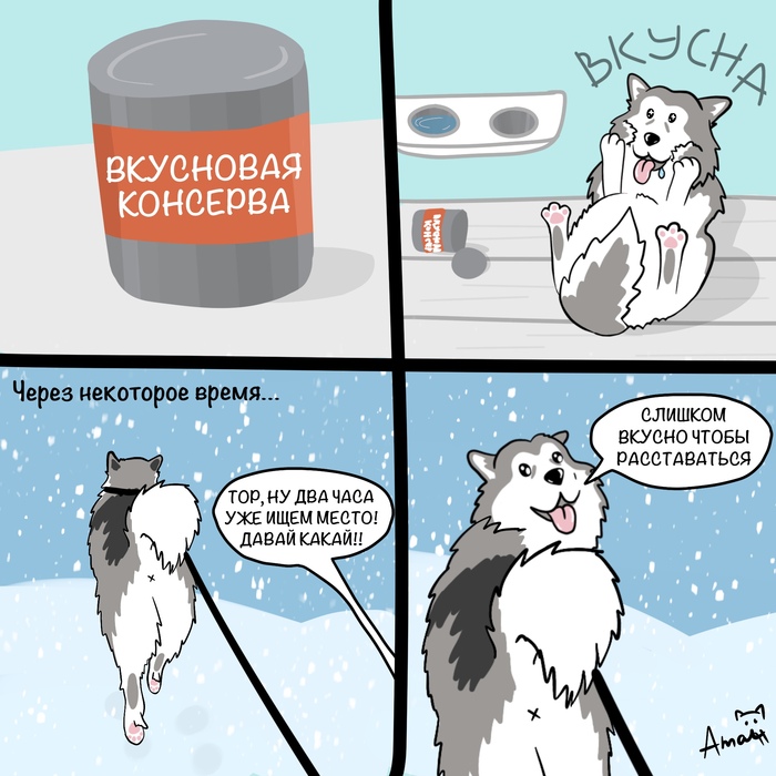 Хранитель сокровищ