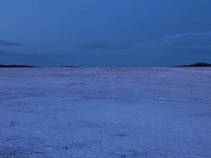 Безлунная ночь