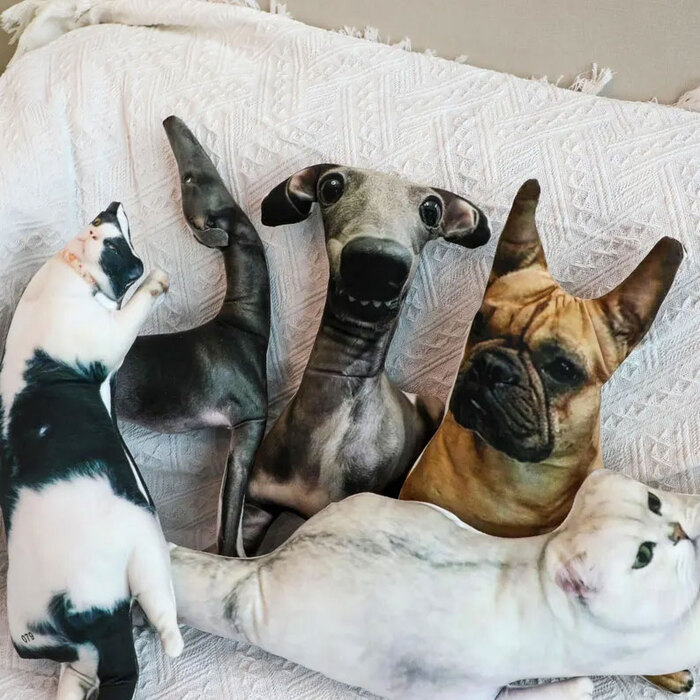 Уродливые подушки кошек и собак