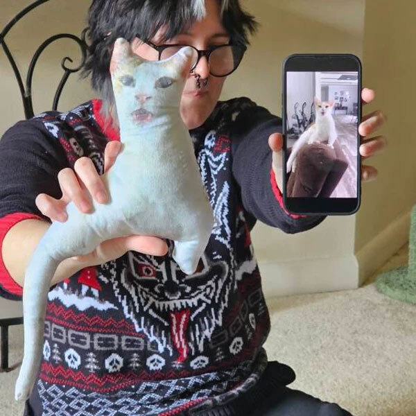 Готовая подушка кота по фото