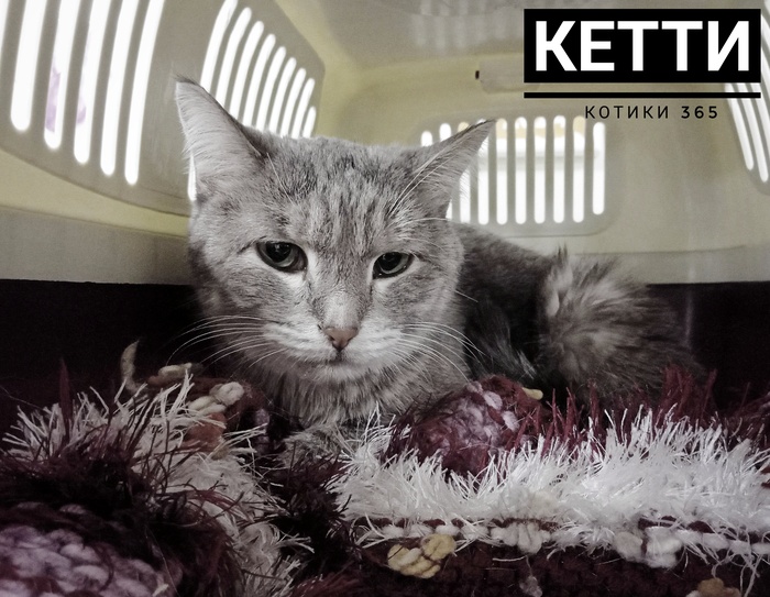 ����� 20.01.2025