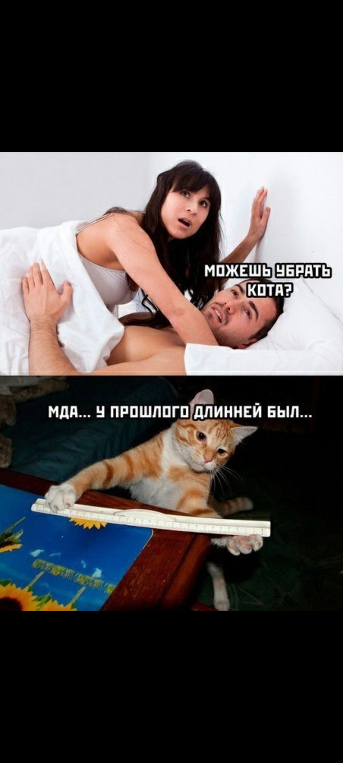Маленький секс Маленький член: истории из жизни, советы, новости, юмор и картинки — Все  посты | Пикабу