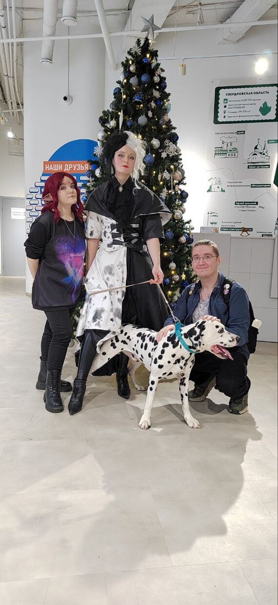 Фонд помощи бездомным животным Екатеринбург встреча Благотворительность, Животные, Фонд, Длиннопост