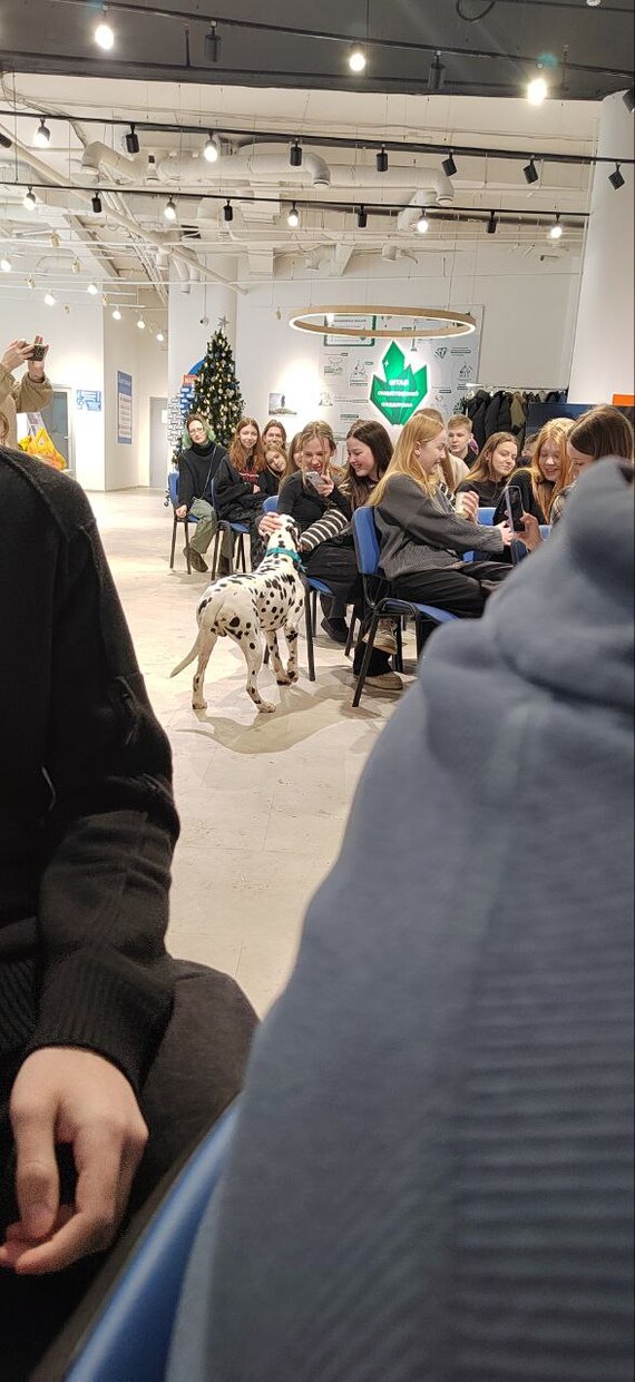 Фонд помощи бездомным животным Екатеринбург встреча Благотворительность, Животные, Фонд, Длиннопост