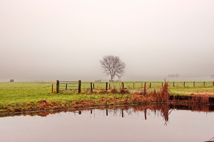 �����, ������� � �������... ����� �� ����, ��� � �� �����������.