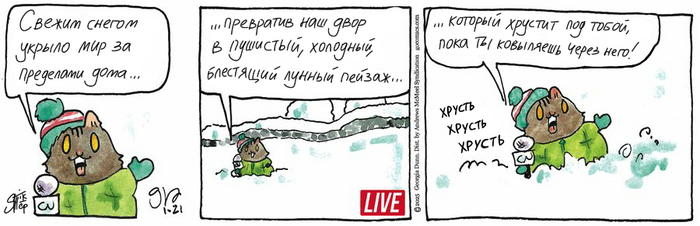 Котейкины Новости от 21.01.2025