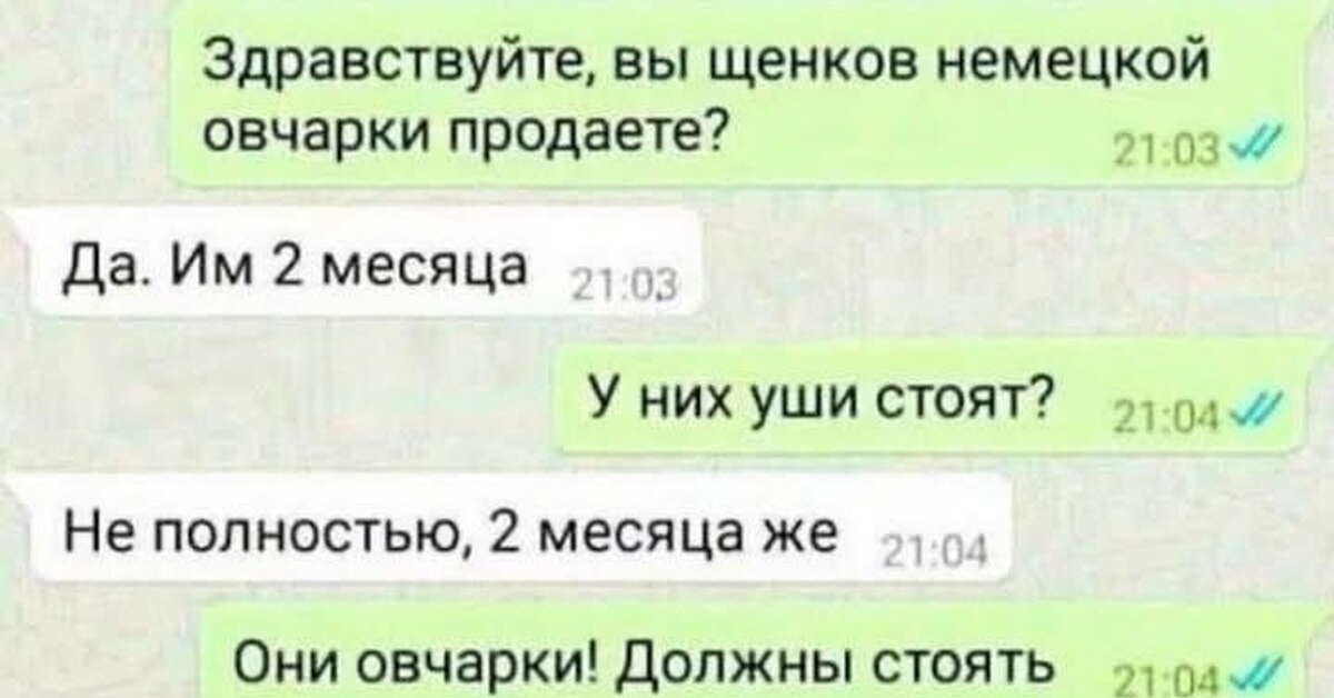 Отшила так, отшила, слов нет!