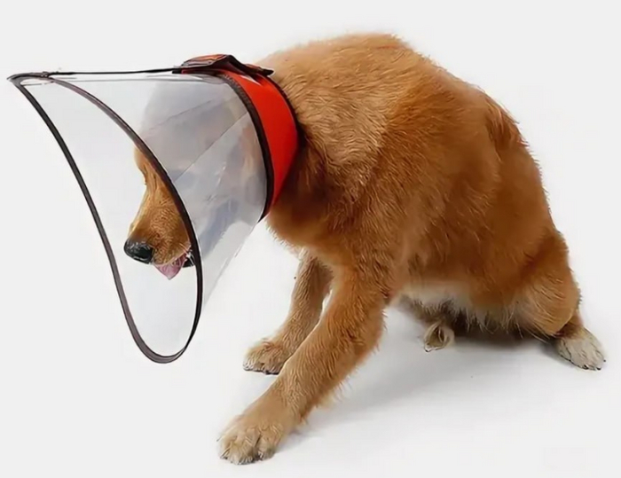 �� �� ����� � ��� �������� ������� �� �����.