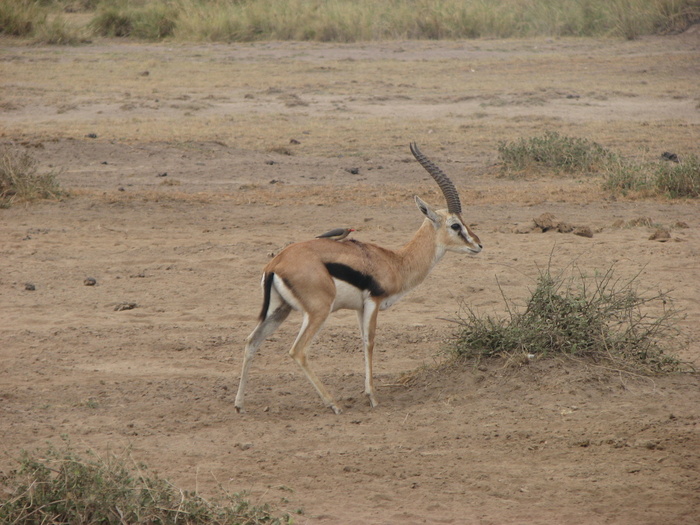 ������ ������� ����� �������� �� ������ ������ �����. � �������� �� ��� ���������� �������. ������� ���������. �������� ��, �������. �� �� ����� ������������ ����, ����� ��������� �������� ��������, � ����, �������, ���� �����