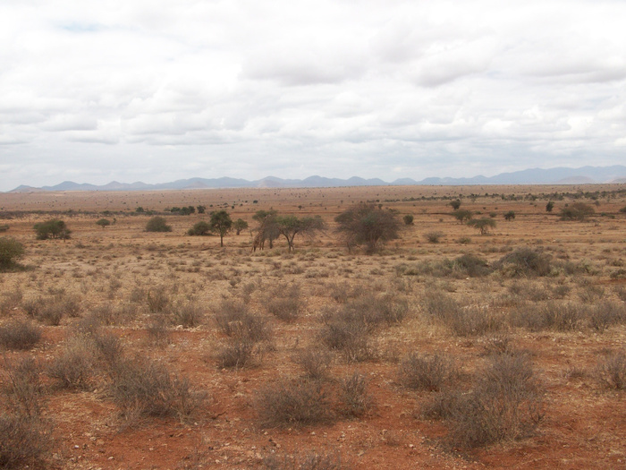 ������ ������? � �� ����!