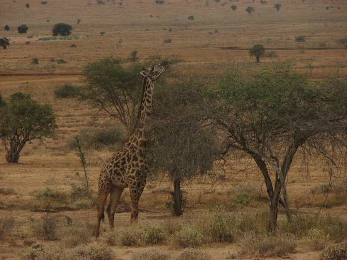 ������ �������������, ������ ����� �� ������� ����������� ������ �������� �� ��������� �������