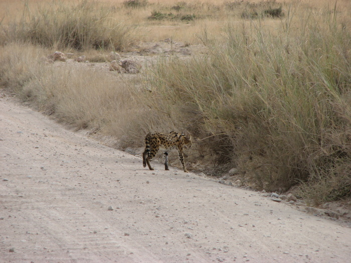 ������. ������ ����������