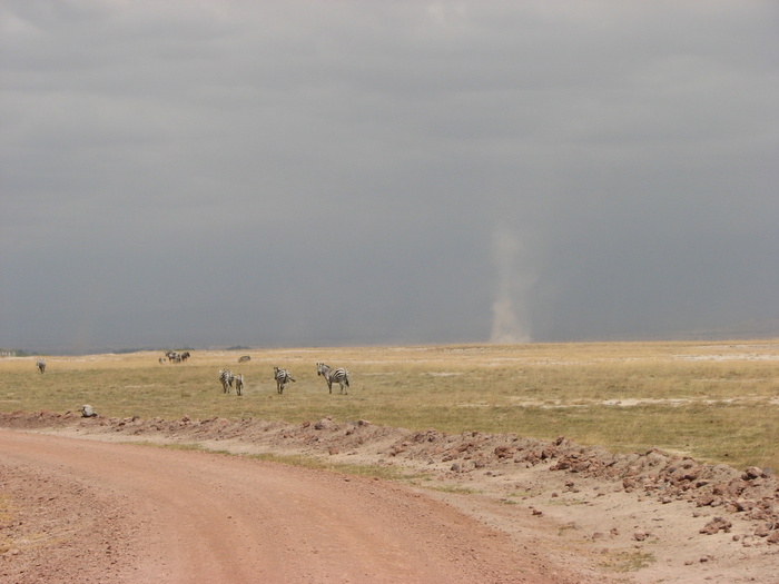 �������� "��������" ���������� �� ���������� �����, ����������� "������� ����". ������ ��� ������ ����?