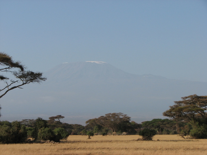 ������� �� ���� ������������ � ������� ����������� ��� ��������