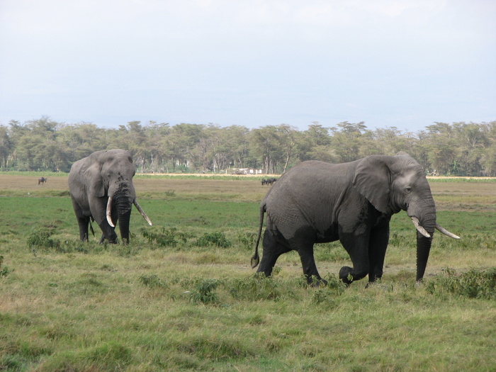 �������� ��������� ����� �� ������ ���� ��� ���������� �� ������� 5️⃣