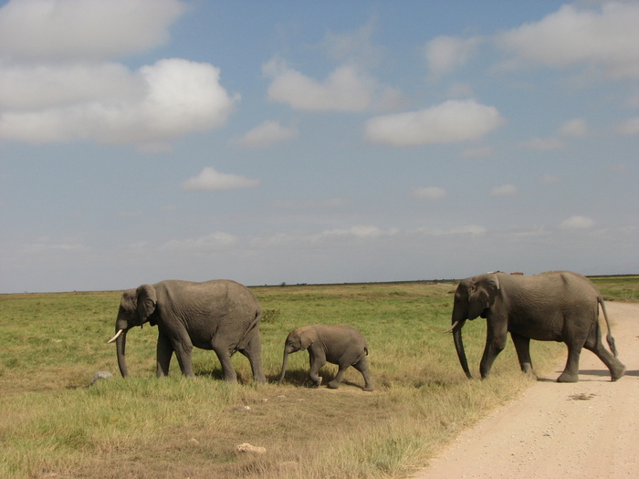 ����� �� ��������� ��������� ������ ����� ����� ����� �������