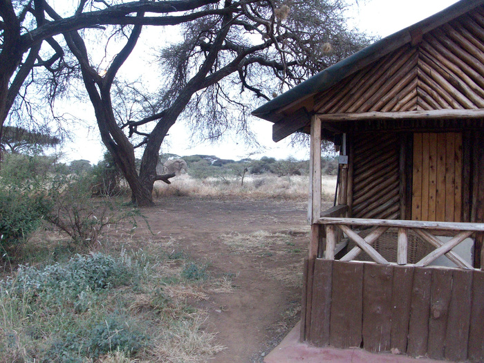 � ������ ������ � ������ ����� �������� �������� ������ �����