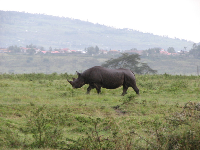 ������ ������� 5️⃣, ������ �����