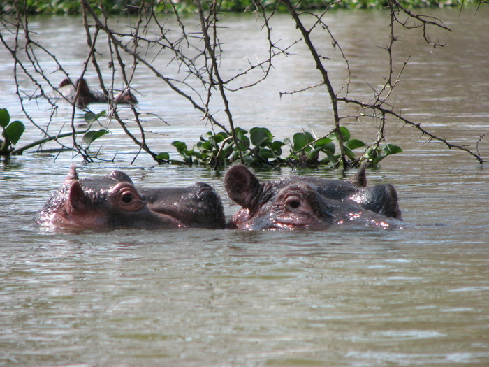 �������� �� ����� �������