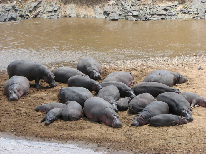 �������� � ���������� �� ���� � �������� �����-����