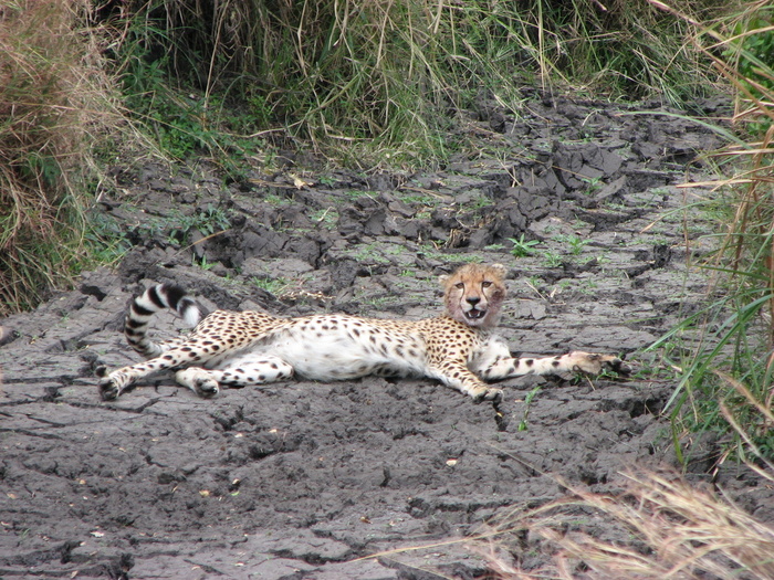 ������. �� �������� ��� ����� �������� �� "������� ��������" � ���������� ����