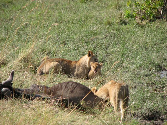 ���� � �������� � �������� � �������� �����-����