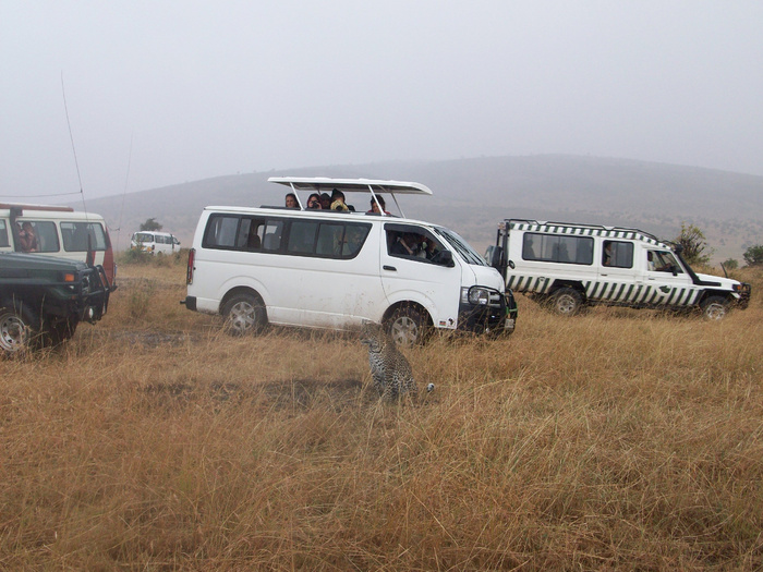 � ���������, ������ ���� � ���������� 5️⃣ ���� �������, �� �������� �������� ����� � <a href="https://pikabu.ru/story/safari_v_kenii__v_poiskakh_bolshoy_afrikanskoy_pyaterki_12280544?u=https%3A%2F%2Fdzen.ru%2Fvideo%2Fwatch%2F678917f1fa87ea6b3db66488&t=%D0%B2%D0%B8%D0%B4%D0%B5%D0%BE&h=244e4e6de46f39291590aa8f96d2da613d4b2690" title="https://dzen.ru/video/watch/678917f1fa87ea6b3db66488" target="_blank" rel="nofollow noopener">�����</a>. � ��� �� ������ ���������, ��� ��� ��������� ������������� ������ ��������� ���������� �� ���� ��������