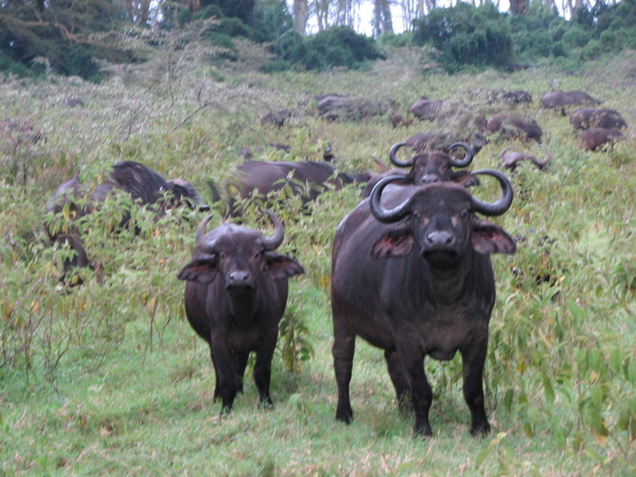 ���, ��� ������� 5️⃣ �� �� Hell's Gate, �, �������, � ������, ������ � ����� ��������. �� ��� ��� ��� ������� ����������� ������� � ������ ���� �� ��������