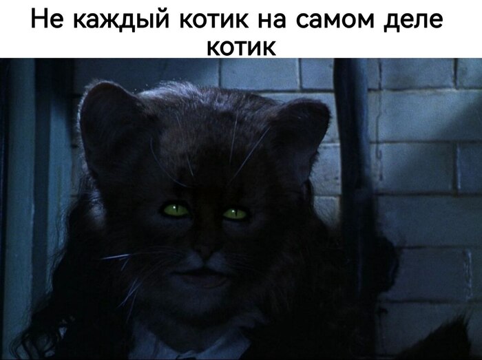     :    , ,  , -, , , , , , ,  