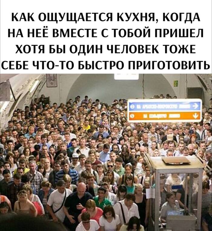       , , , , , ,  , ,       , , , , Telegram ()