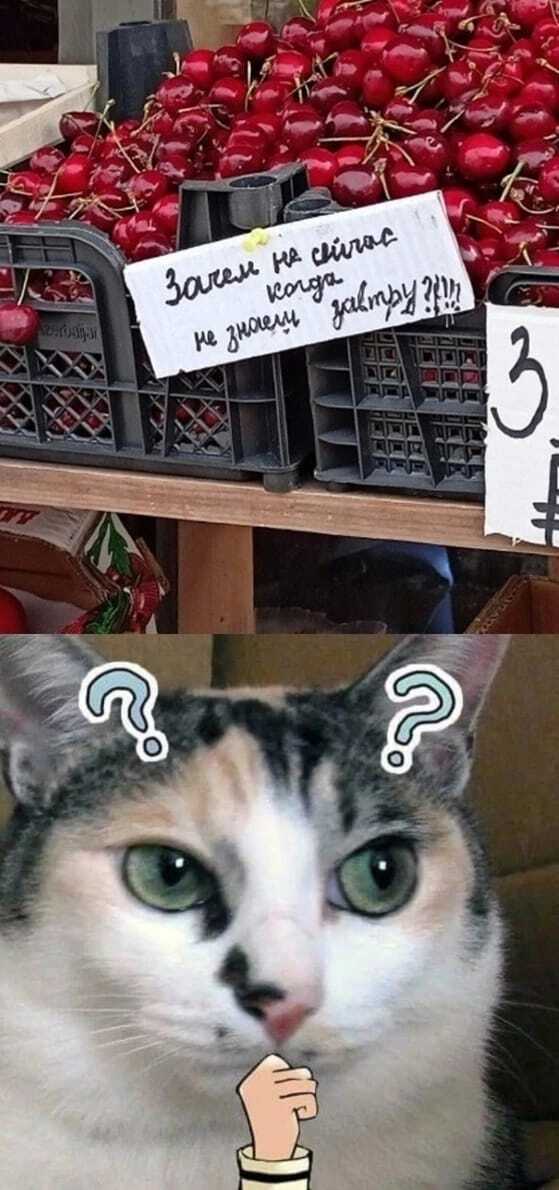  ,  , 