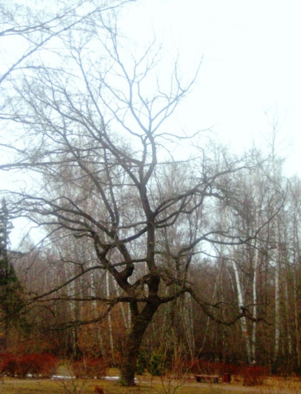 Для тех, в ком Дар Небесный не пропал