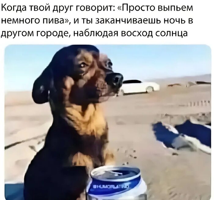 И так всегда