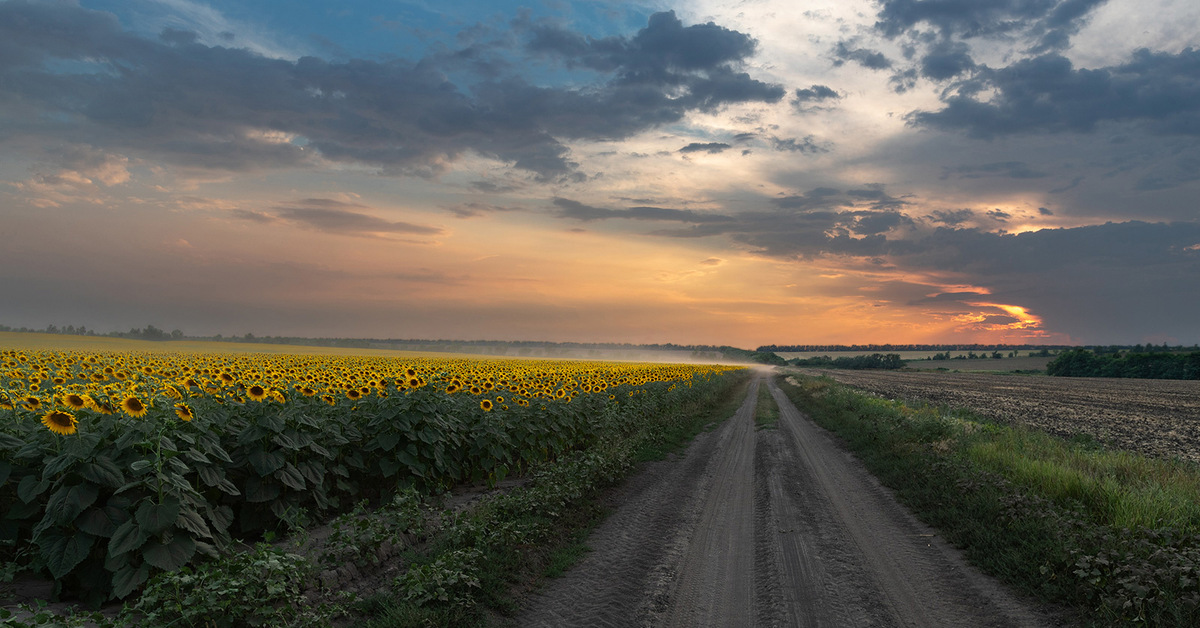 Дорога в август