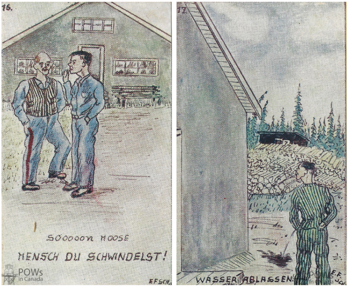 Schwein ist Schwein.