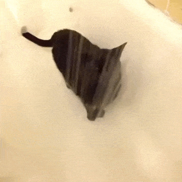   , , , 