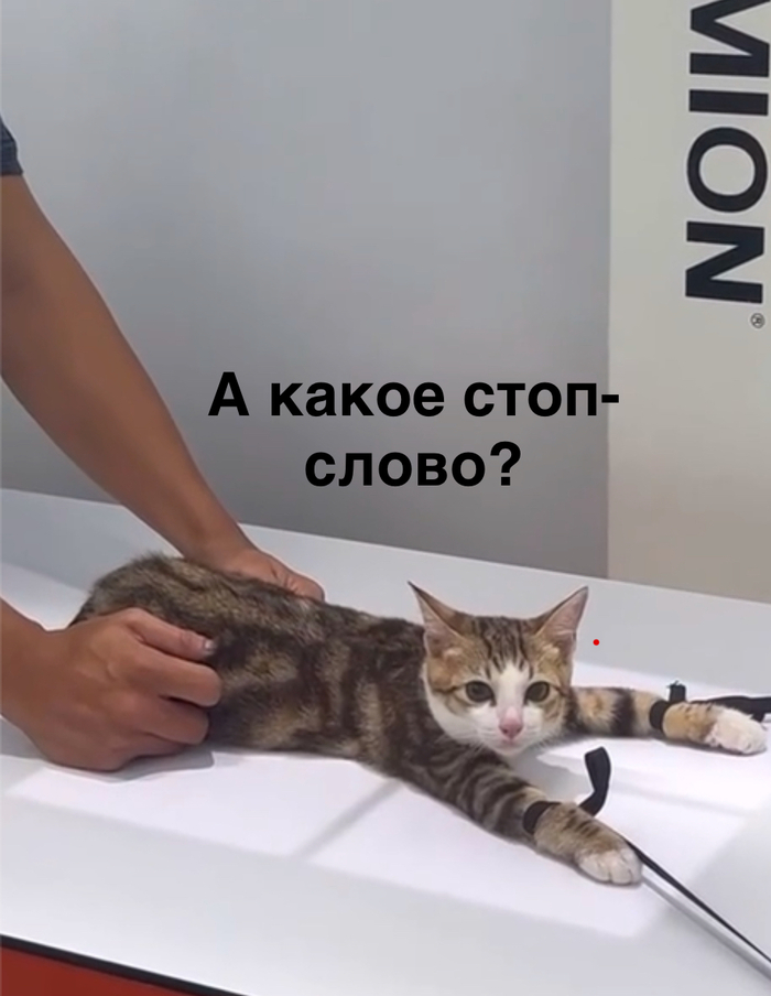 �������������