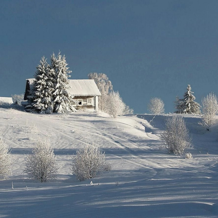 Ленинградская область