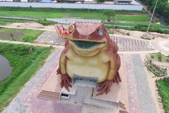   : ,       , ,       ,  ,   - (     "").